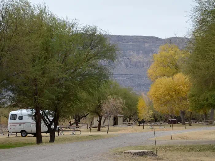 Cottonwood (Big Bend, TX)