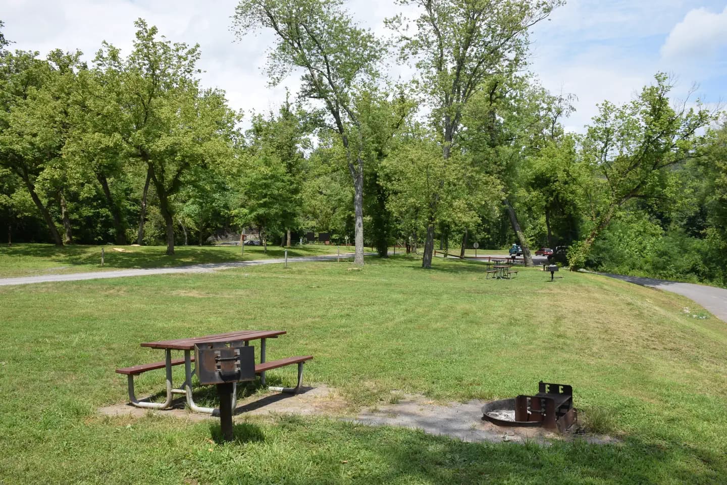 Fifteen Mile Creek Campsite