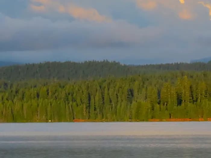 Oak Fork Campground (Timothy Lake, OR)