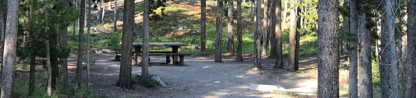 Lodgepole Campground (on Georgetown Lake, Montana)