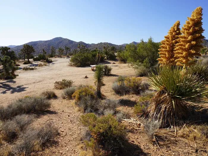 BLACK ROCK CAMPGROUND