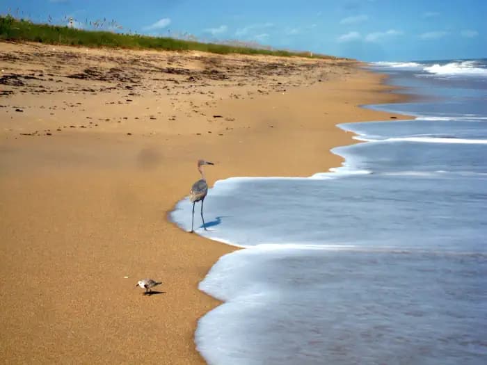 Canaveral National Seashore Permits