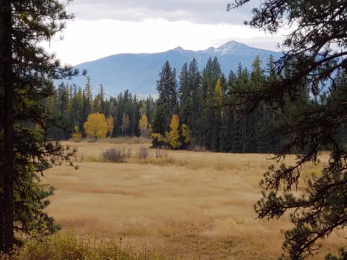 OLD CONDON RANGER STATION