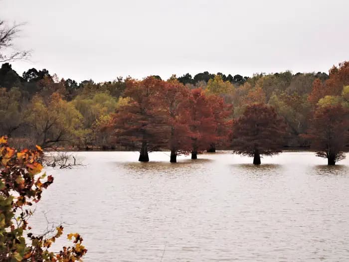 BROOKEN COVE