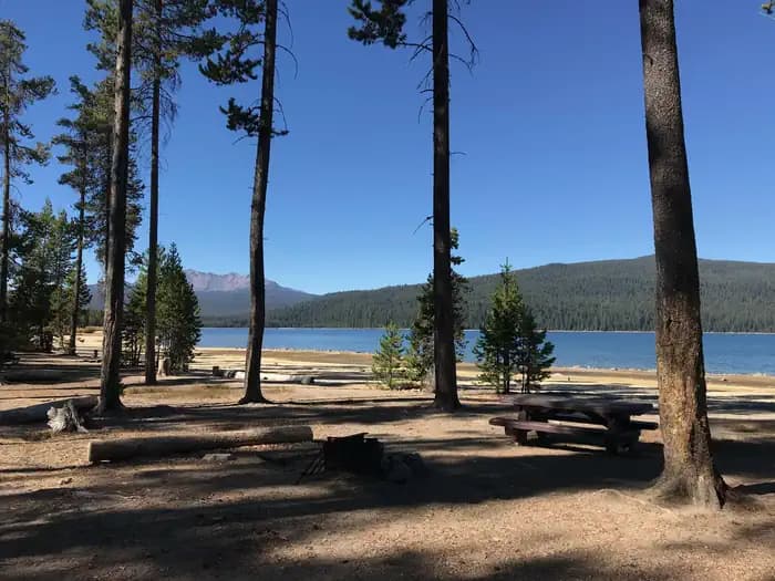 Contorta Flat Campground
