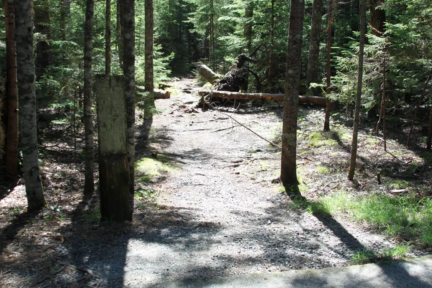 BLACKWOODS CAMPGROUND