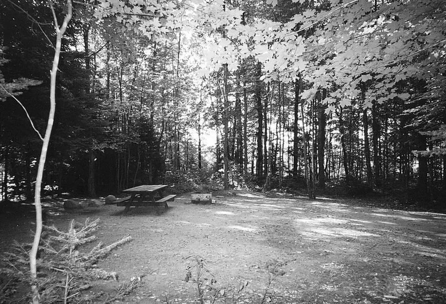 Bear Lake Campground (Chequamegon-Nicolet NF, WI)