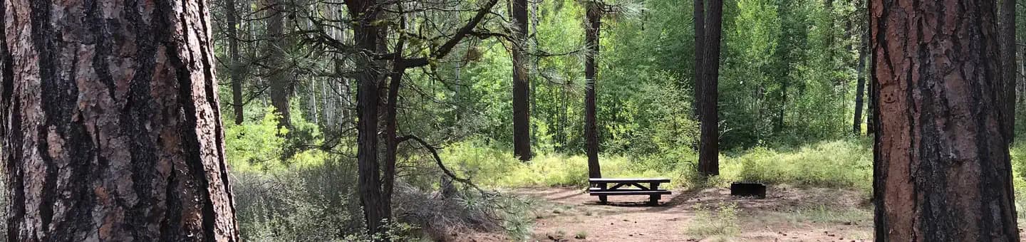 INDIAN FORD CAMPGROUND