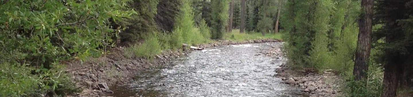 ELK CREEK CAMPGROUND (RIO GRANDE NF)