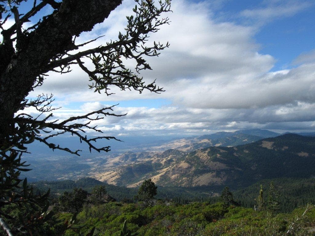 Grizzly Peak Trail