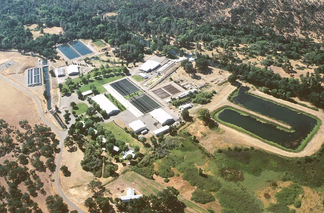 Coleman National Fish Hatchery
