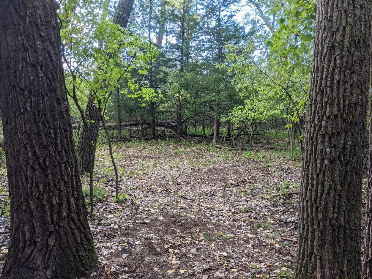 Goat Island Primitive Camping