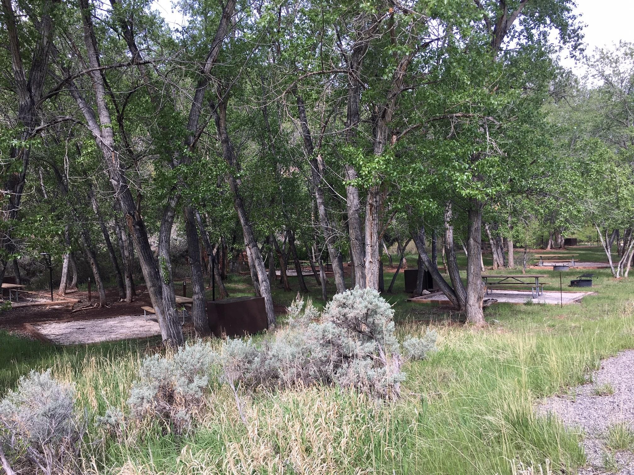Barry's Landing & Trail Creek Campground