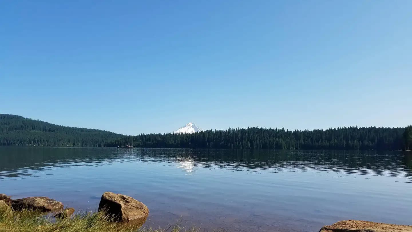 Gone Creek Campground (Timothy Lake, OR)