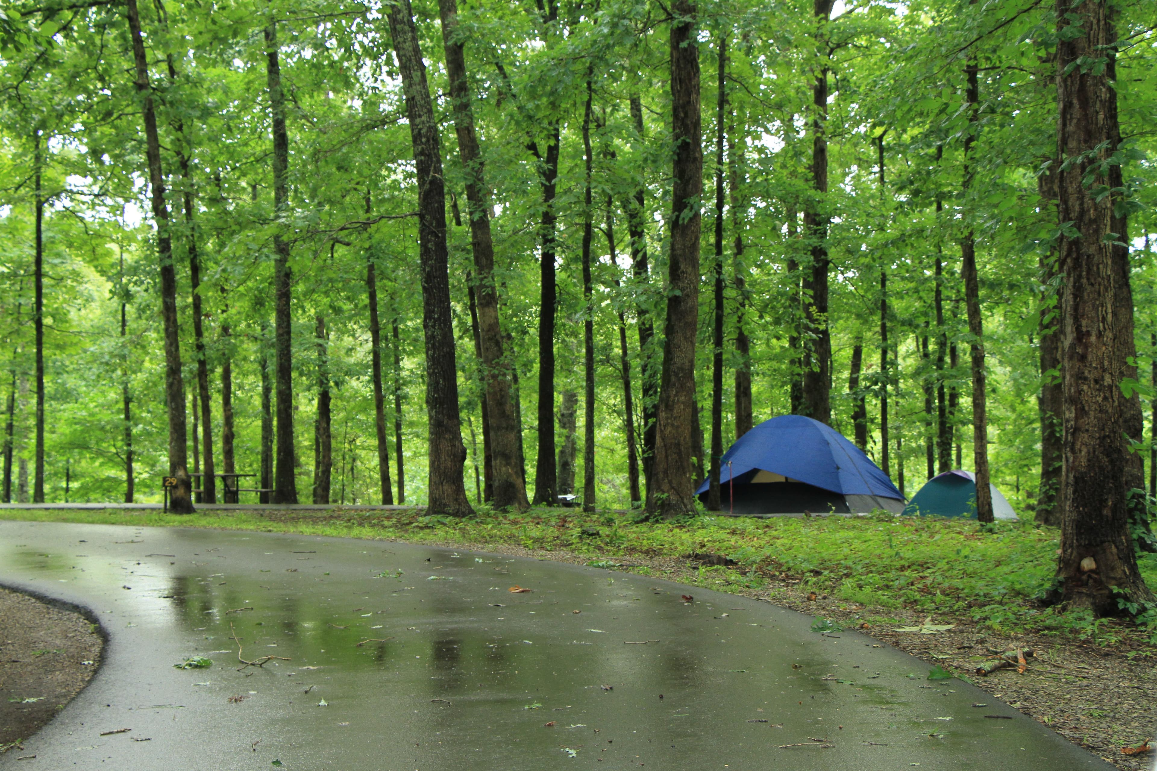 Meriwether Lewis Campground, Milepost 385.9