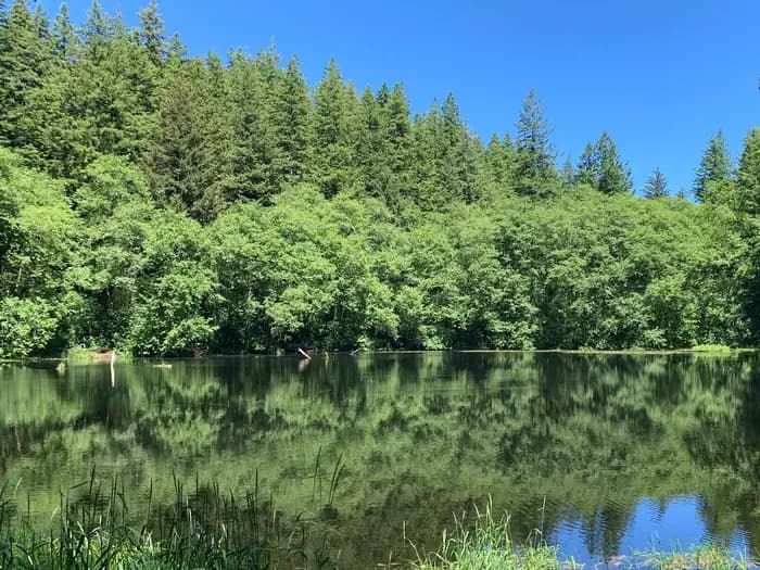 HEBO LAKE CAMPGROUND