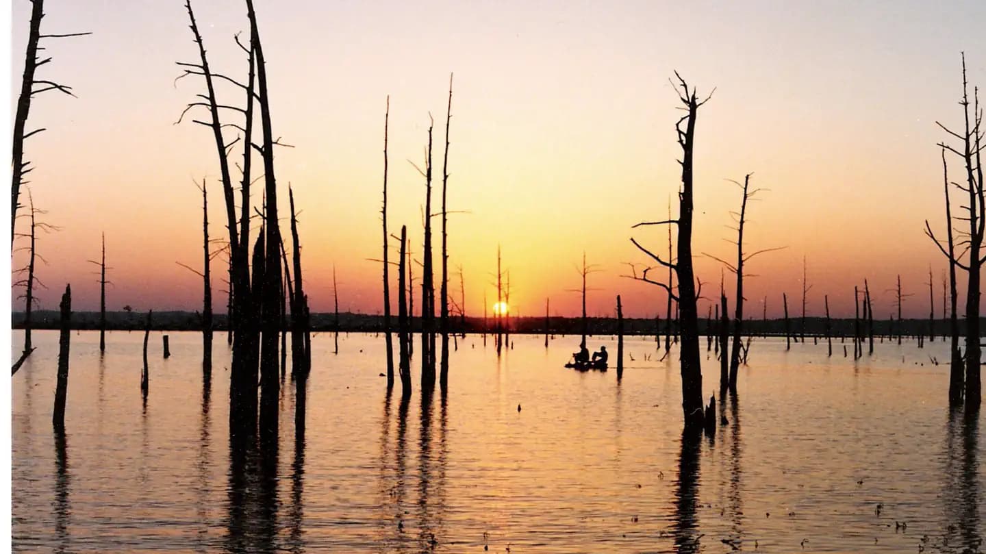 Paradise Point