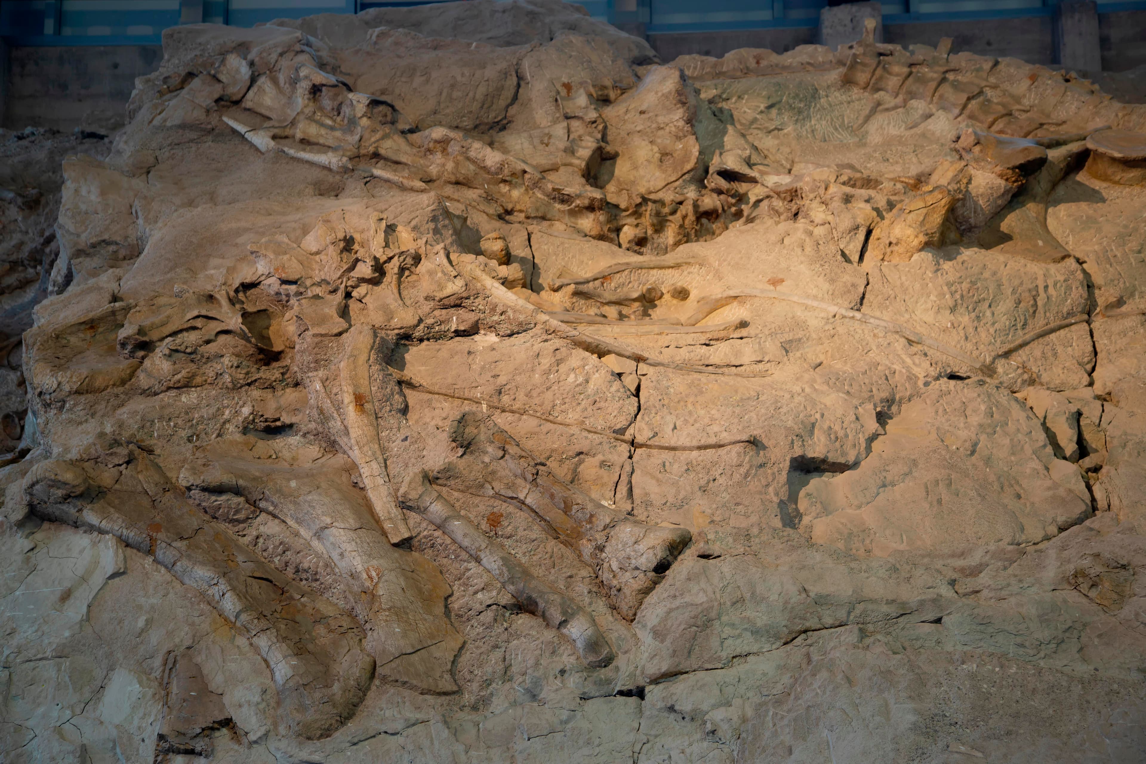 Quarry Exhibit Hall - Utah