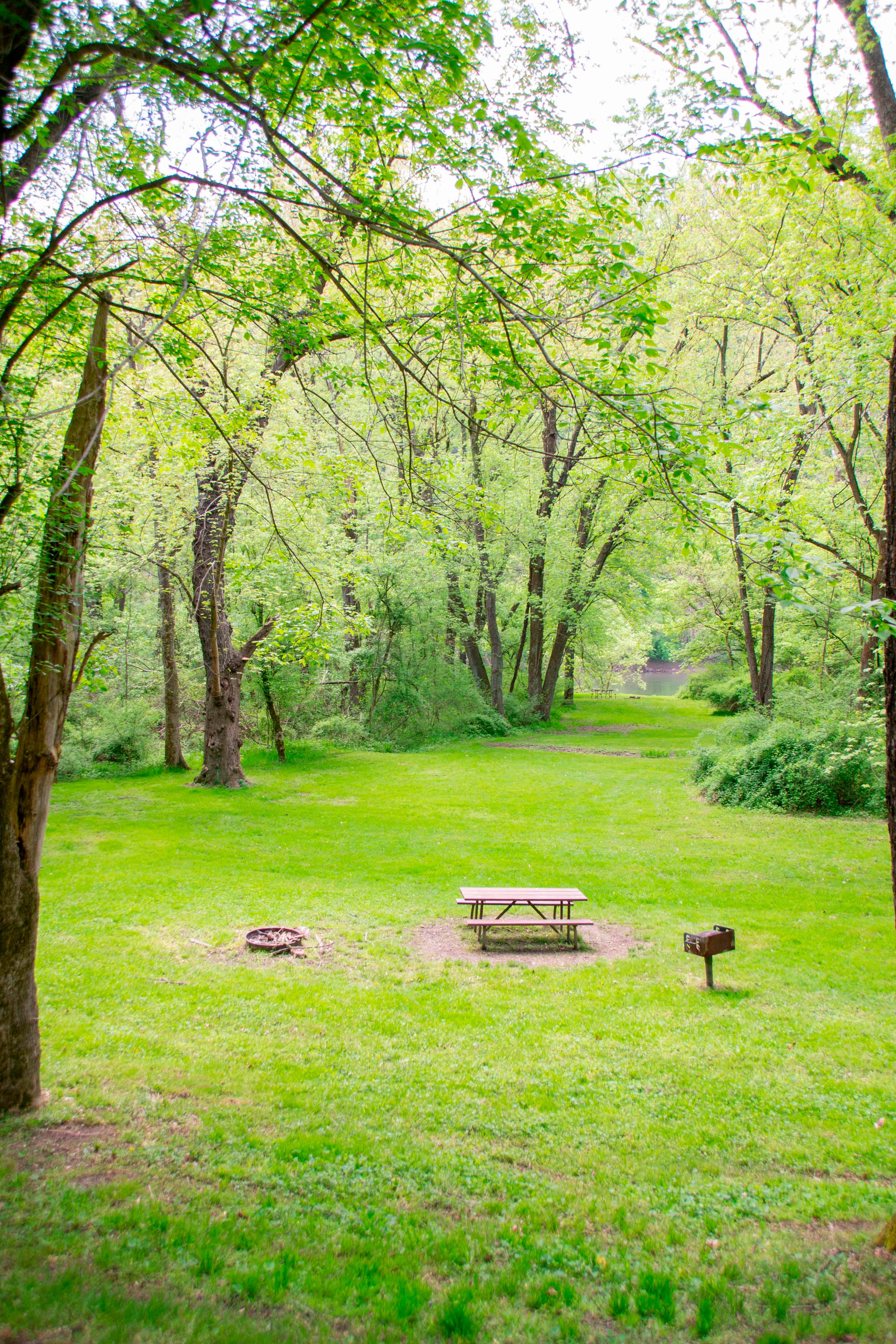 Town Creek Hiker-Biker Overnight (HBO) Campsite