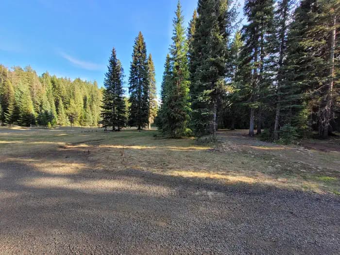 FISH CREEK GROUP USE