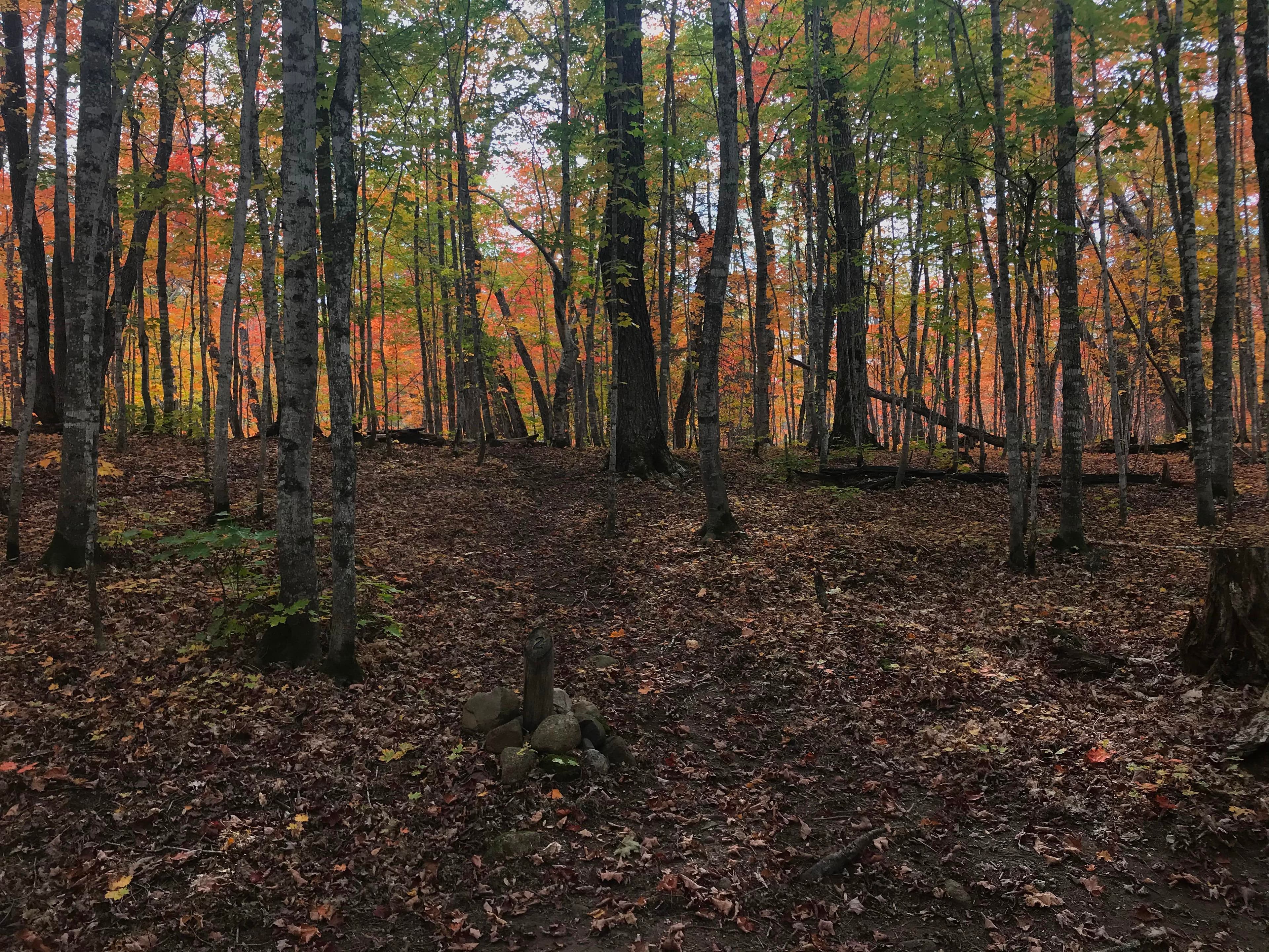 Island Mine Campground