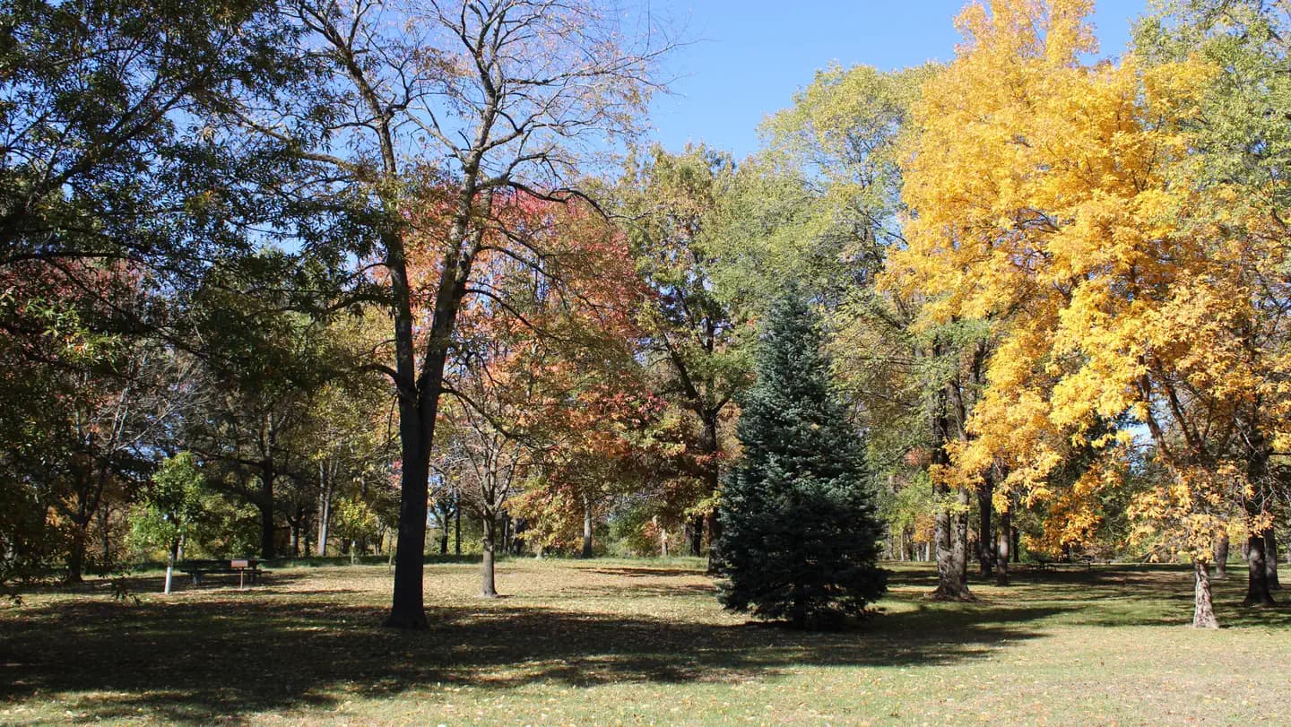 CHERRY GLEN PICNIC