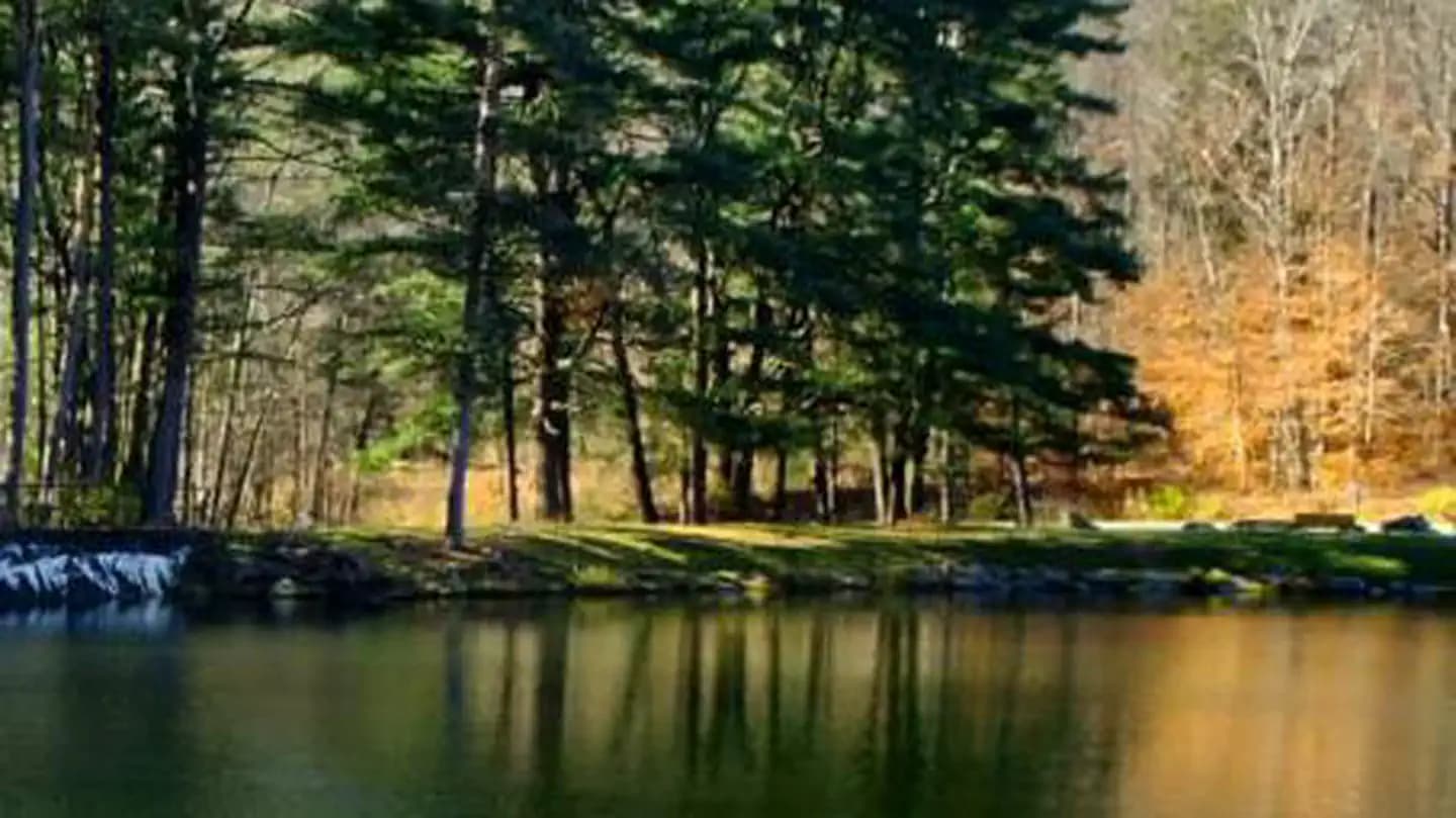 Hooks Brook Boat Access Campground