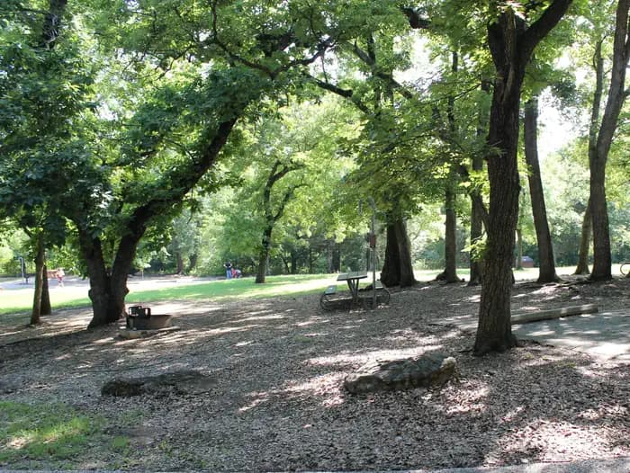 Central Group Camp (Chickasaw)