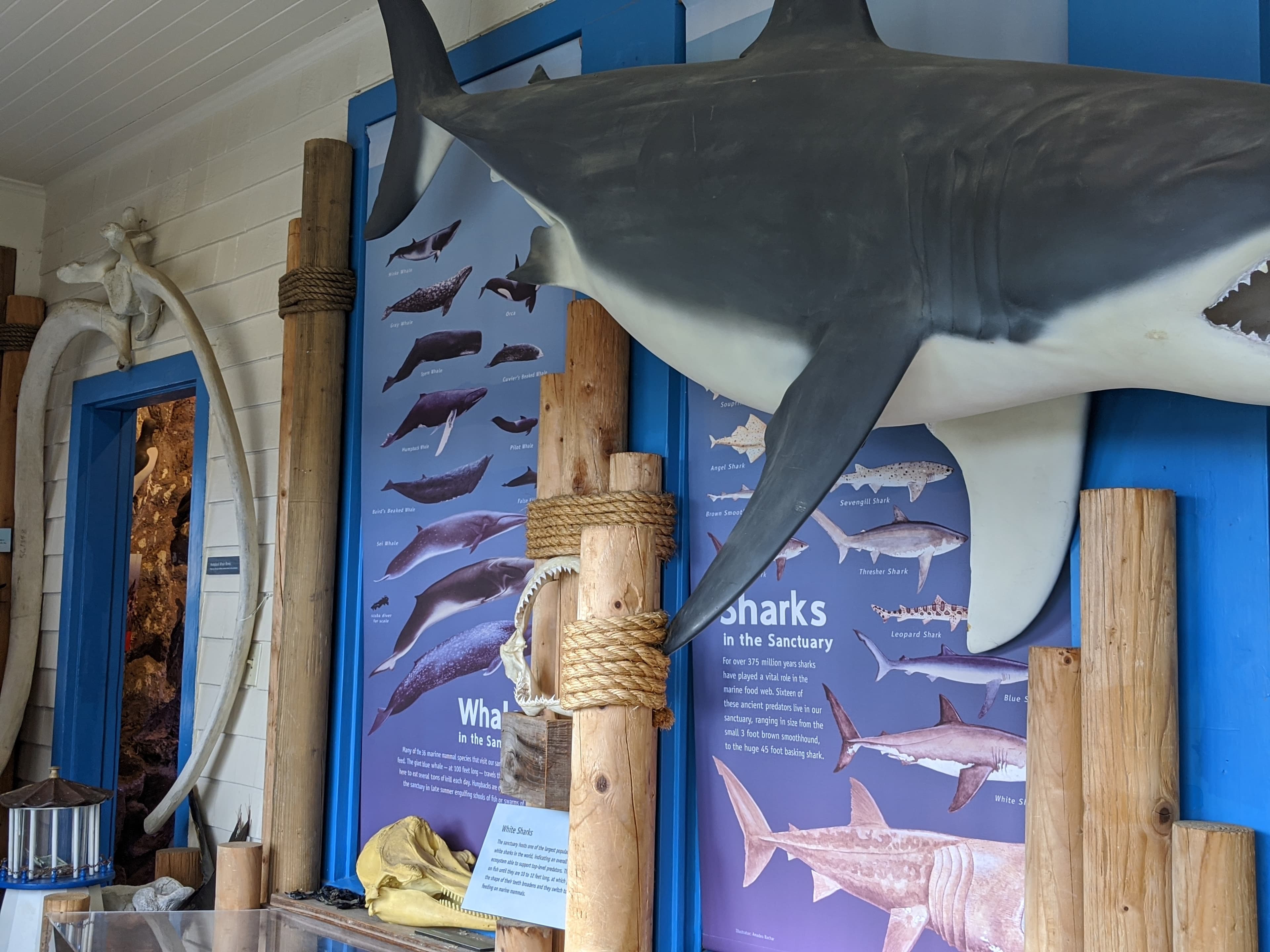 Greater Farallones and Cordell Bank Visitor Center