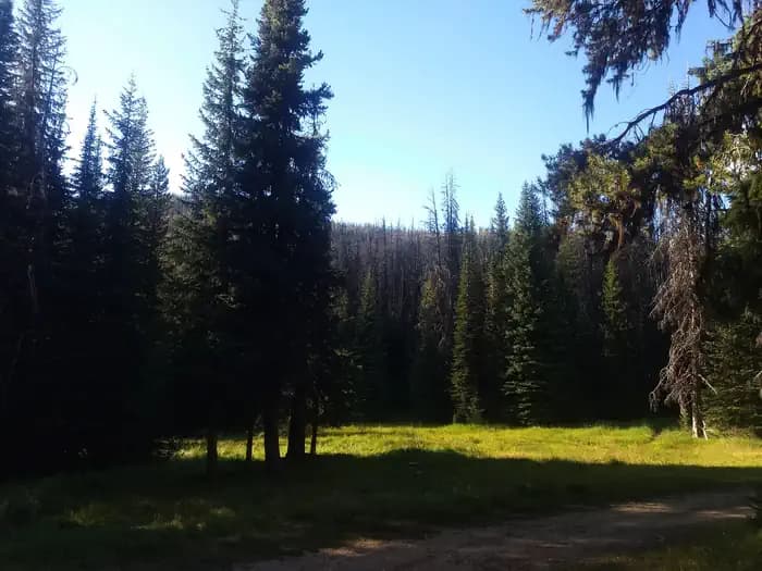HORSE HEAVEN CABIN