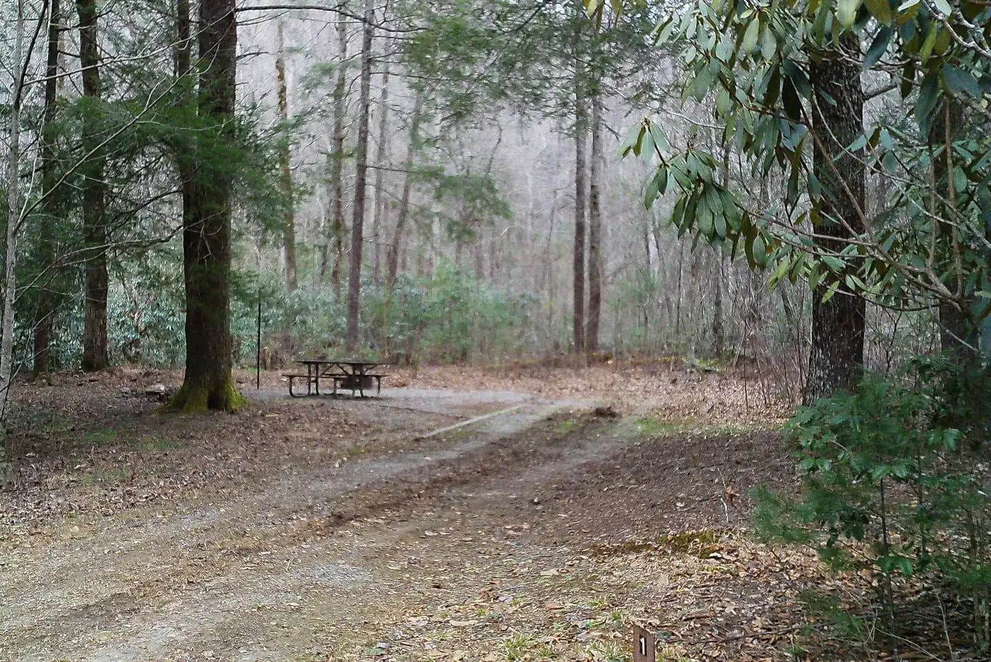 Upper Chattahoochee River Campground