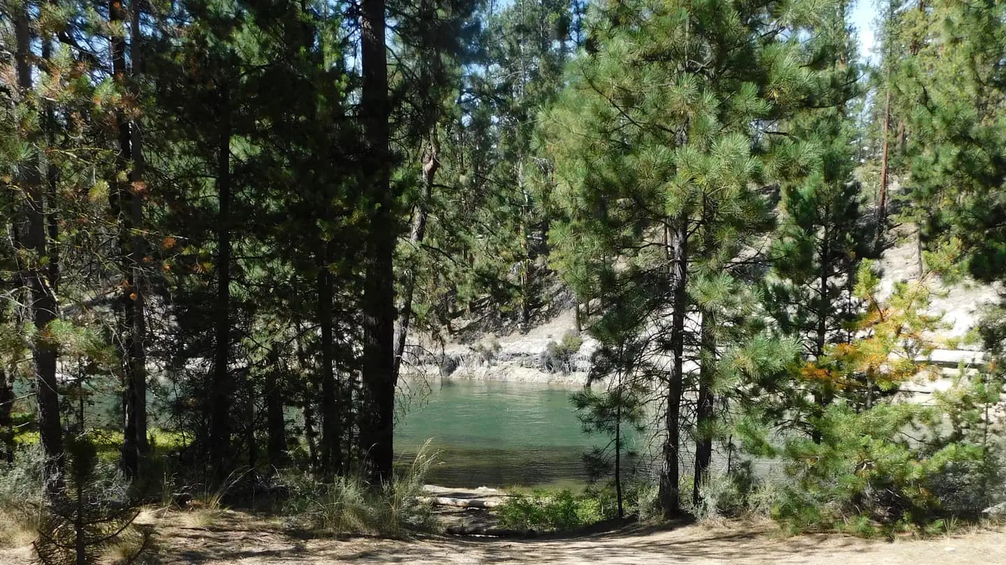 PRINGLE FALLS CAMPGROUND