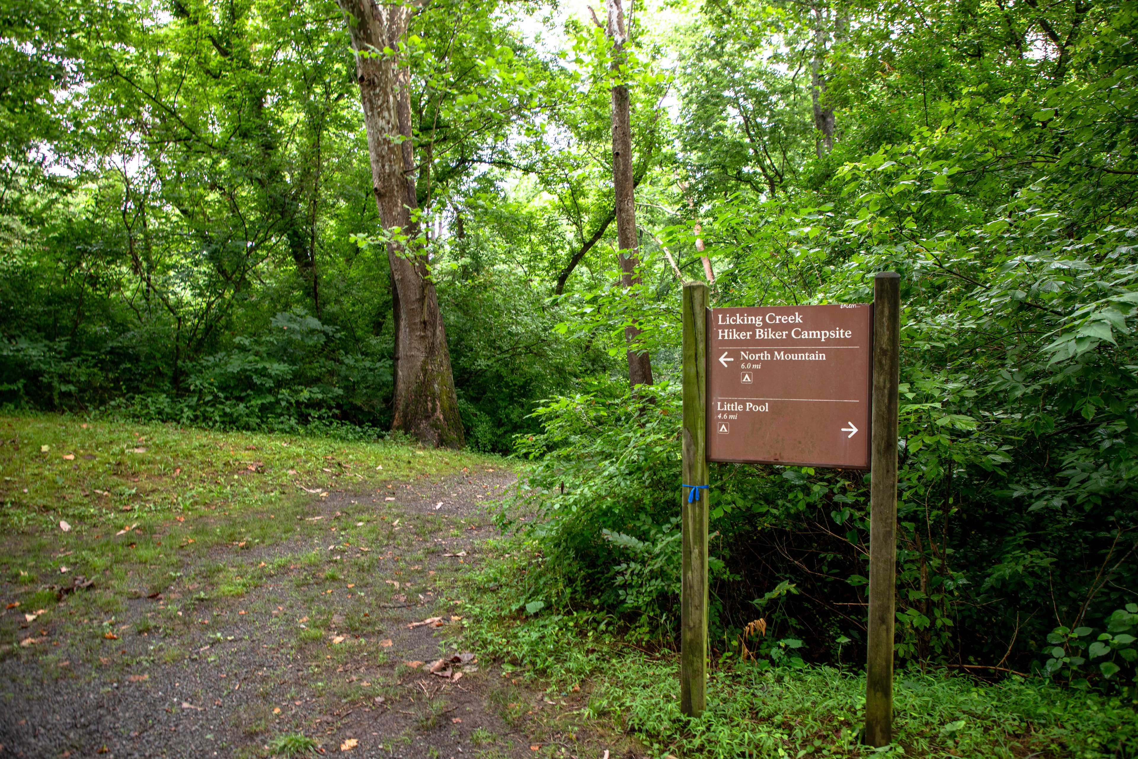 Licking Creek Hiker-Biker Campsite