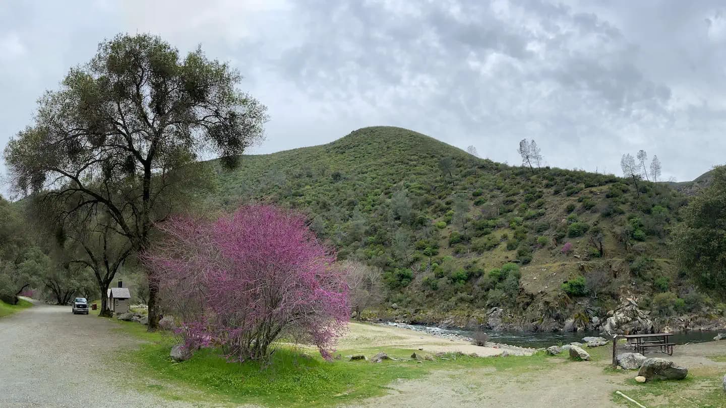 McCabe Flat Campground