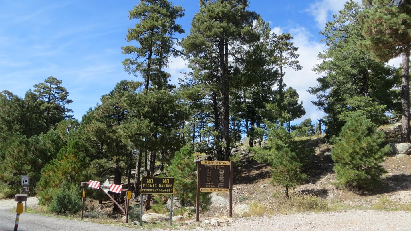 WHITETAIL CAMPGROUND