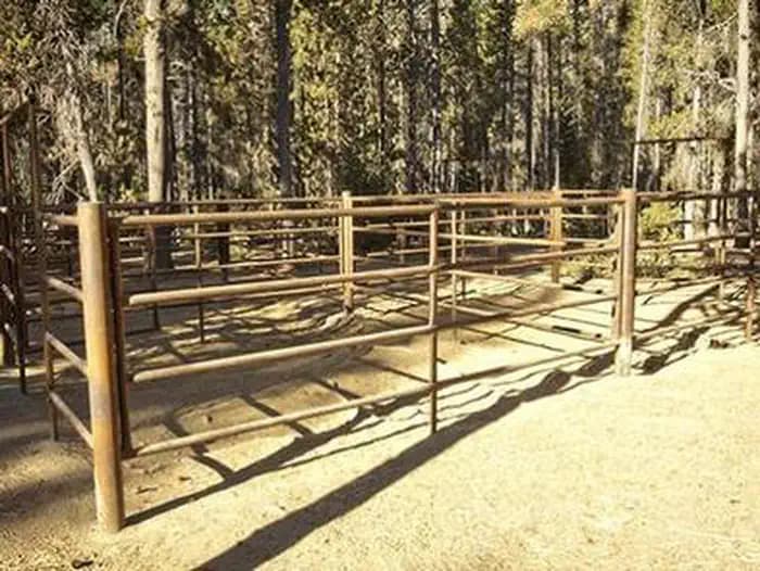 WHITEFISH HORSE CAMP