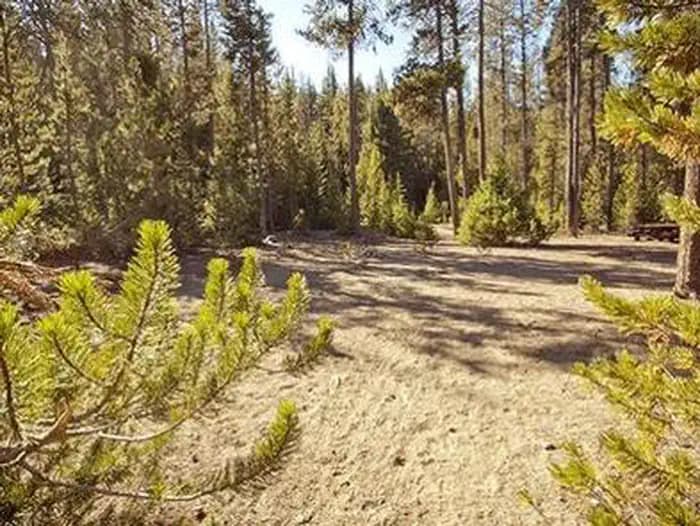 Chief Paulina Horse Camp