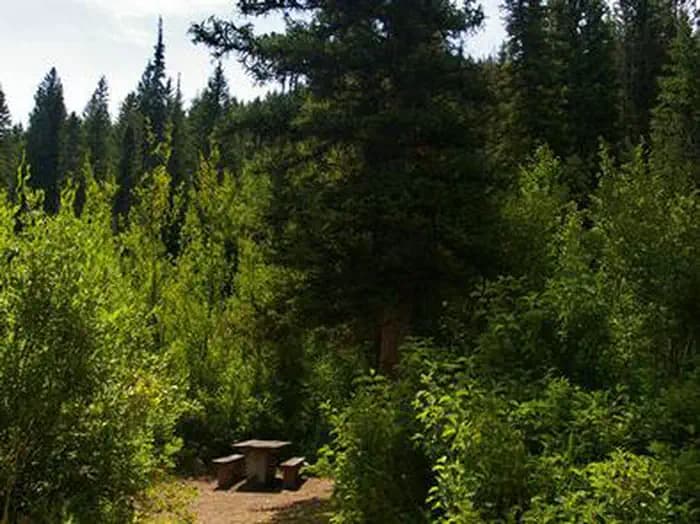 PARIS SPRINGS CAMPGROUND
