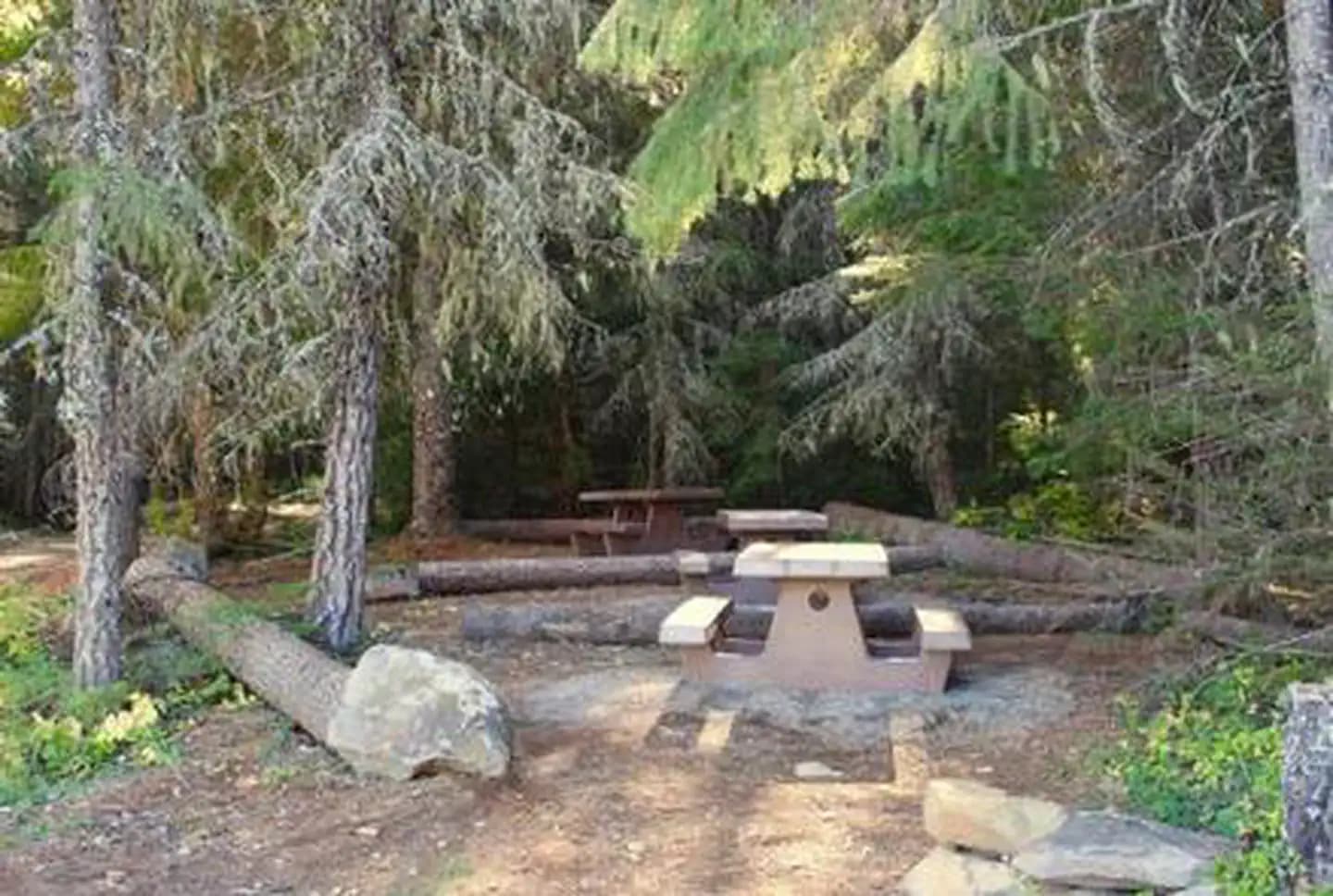 North Arm Campground (Timothy Lake, OR)