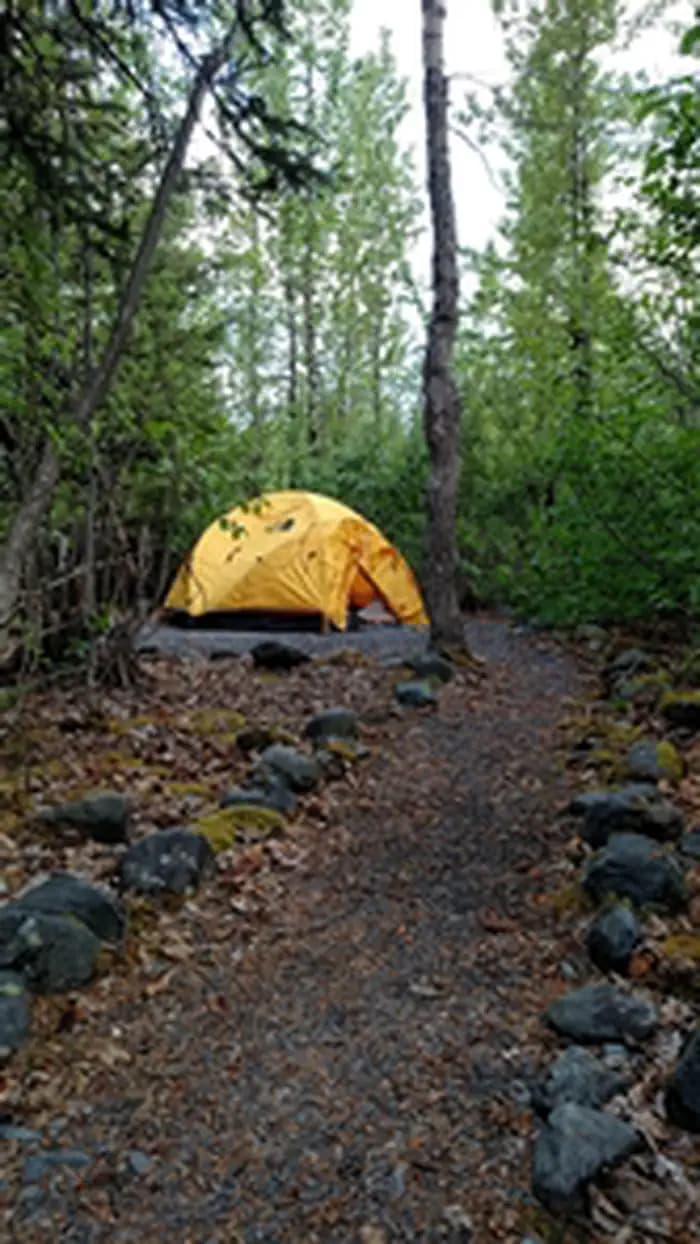 Exit Glacier Campground
