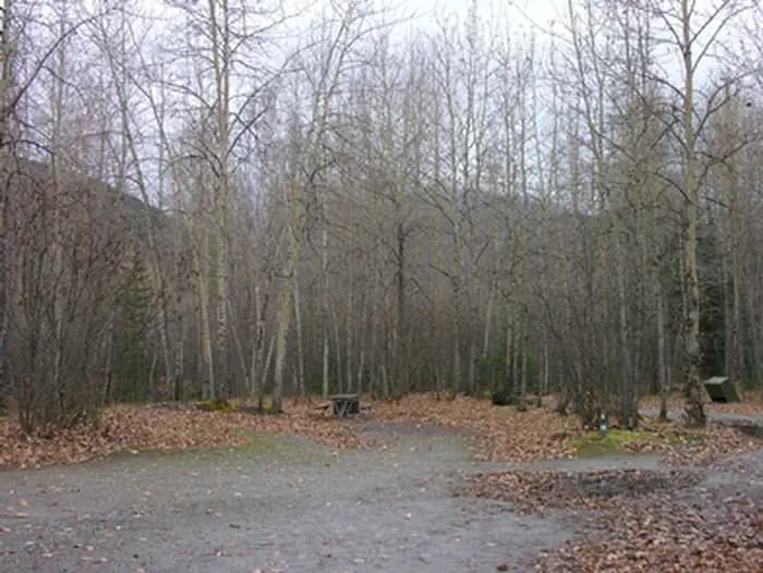 Dyea Campground