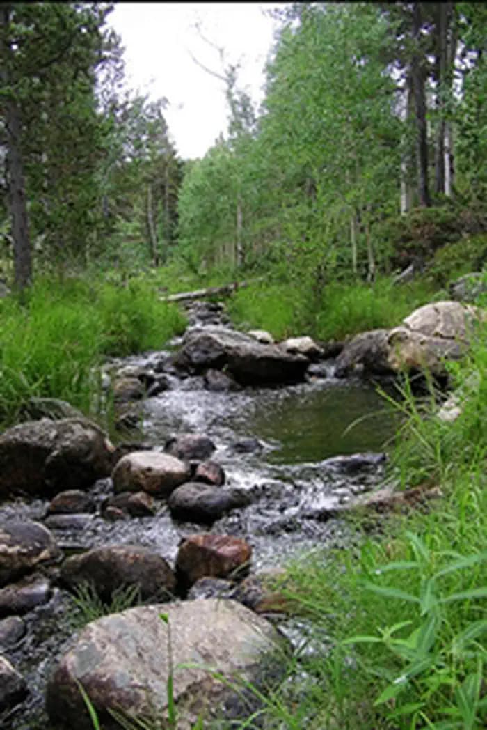 Green Mountain