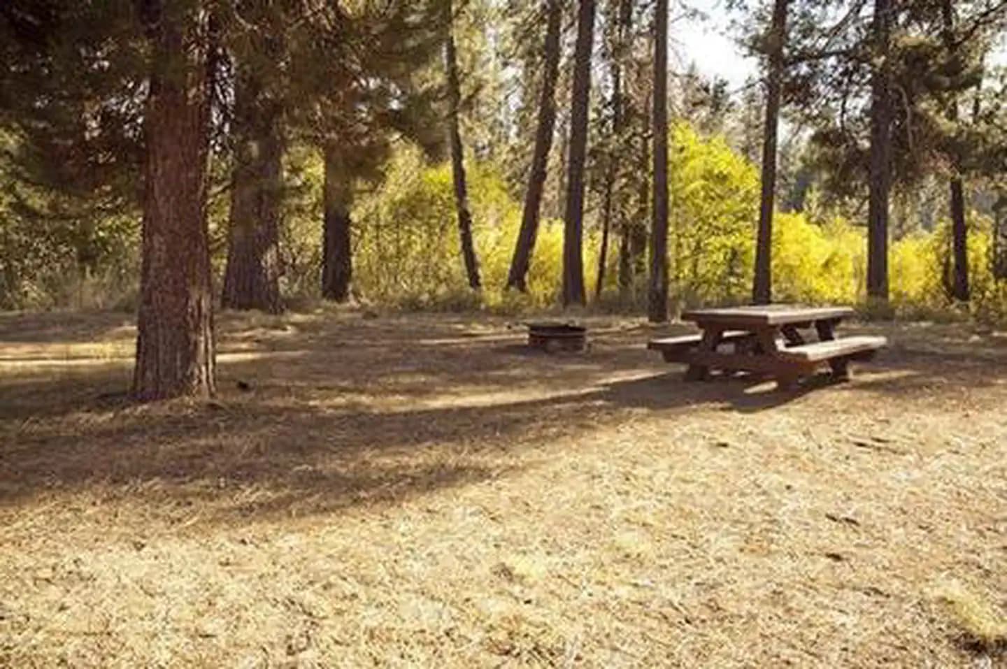 CRESCENT CREEK CAMPGROUND