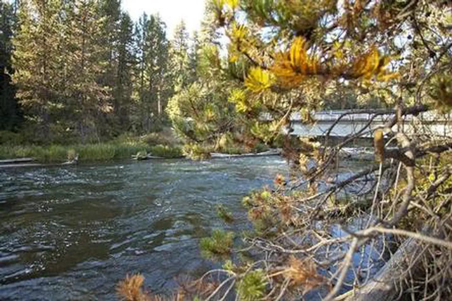 NORTH DAVIS CREEK CAMPGROUND