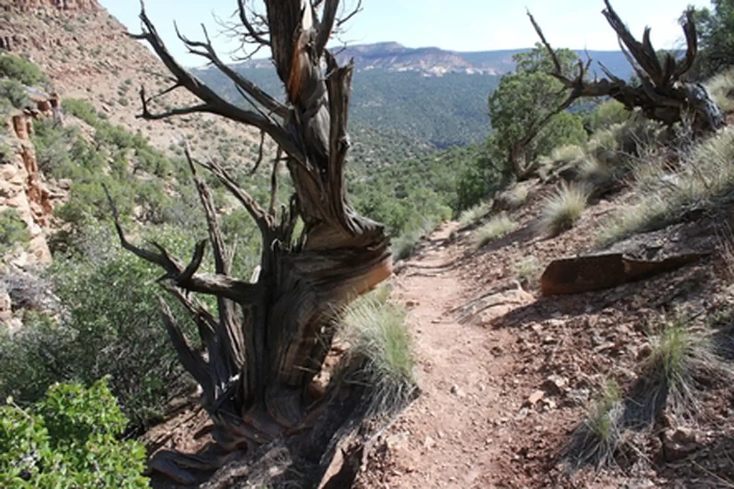 Bobcat Trailhead